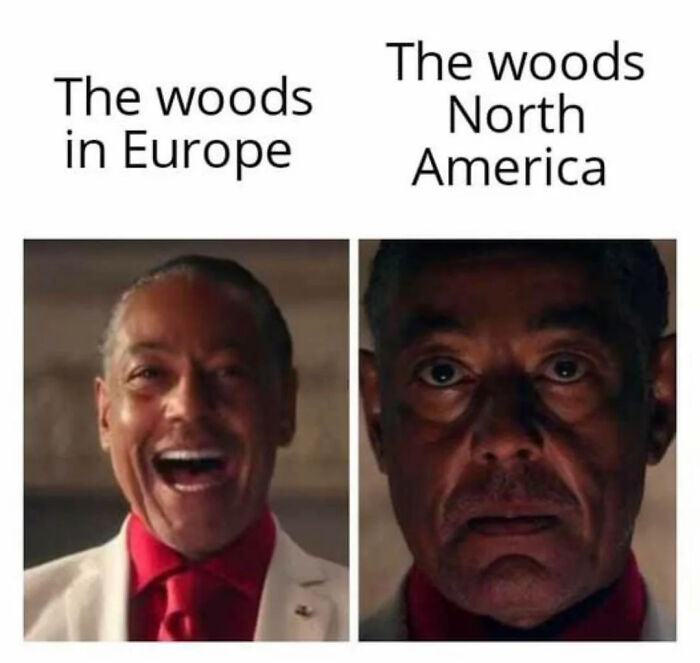 Contrast of woods in Europe versus North America with serious and smiling faces internet content