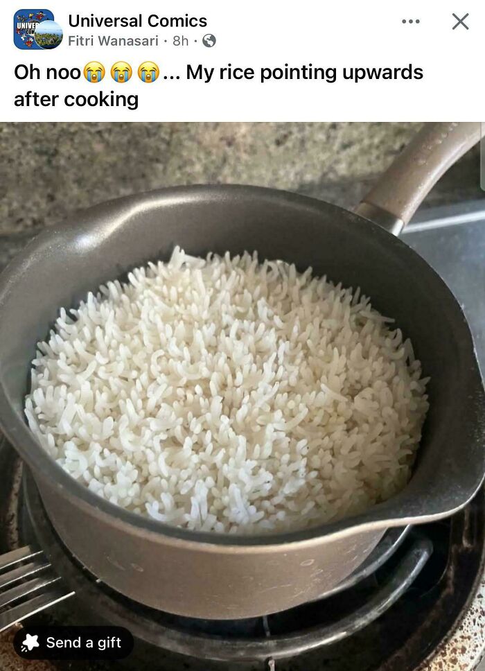 Cooked rice appearing to point upwards in a pot, funny cooking internet content