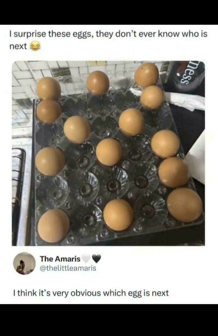Cartoon photo of eggs in carton with caption about guessing which egg is next to be used