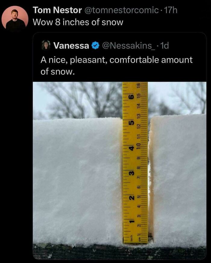 Snow measurement meme showing 8 inches of snow with ruler