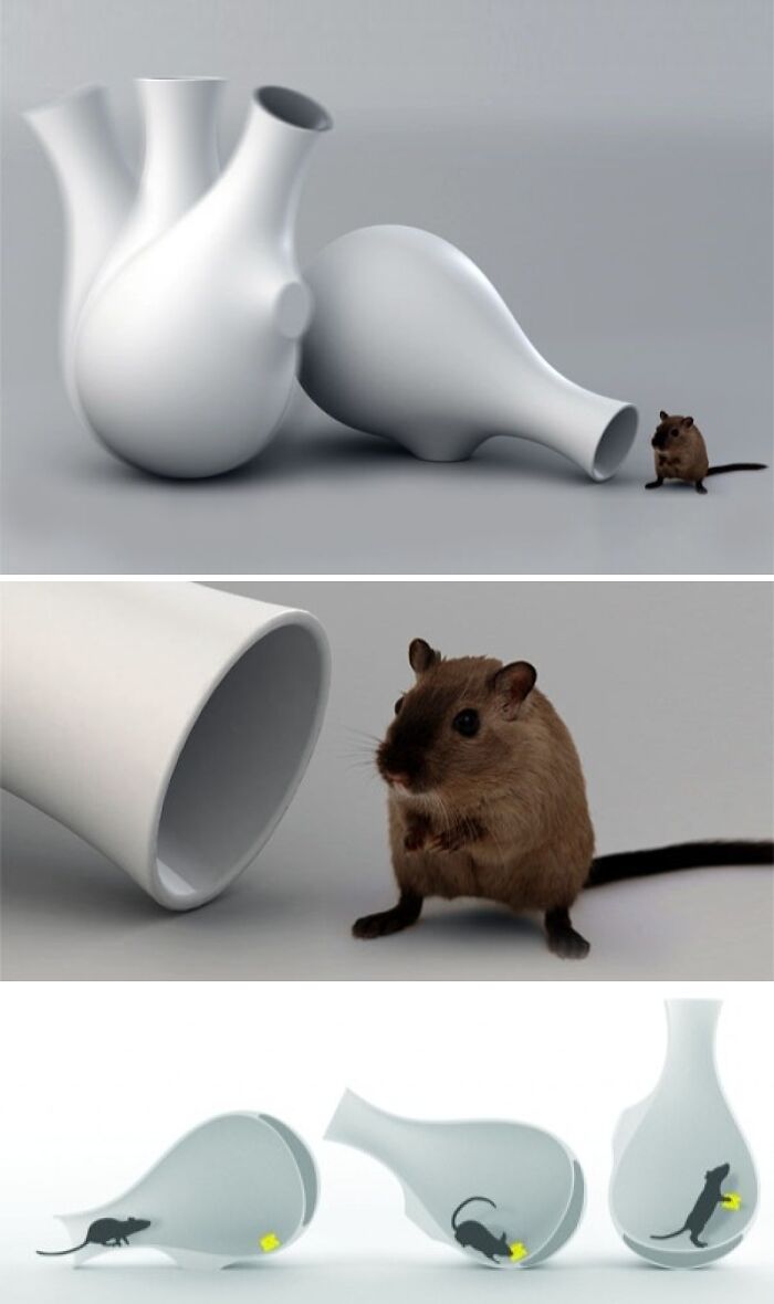 Low-tech mouse trap design with shaped ceramic containers and a mouse