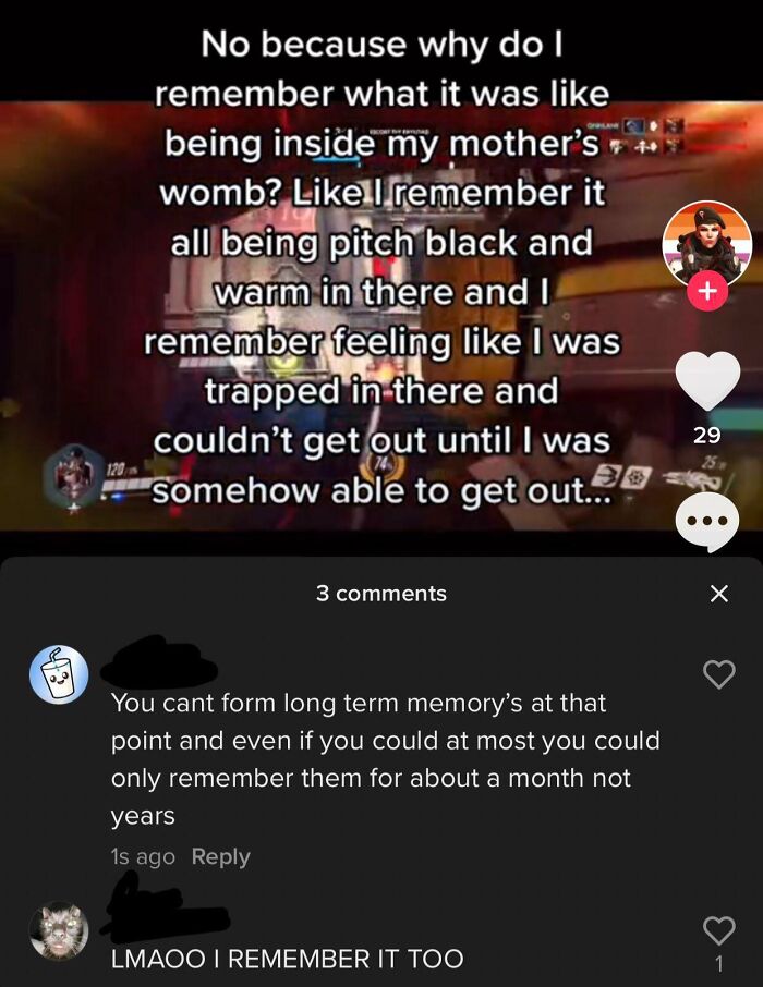 No, You Did Not Remember What It Was Like In The Womb