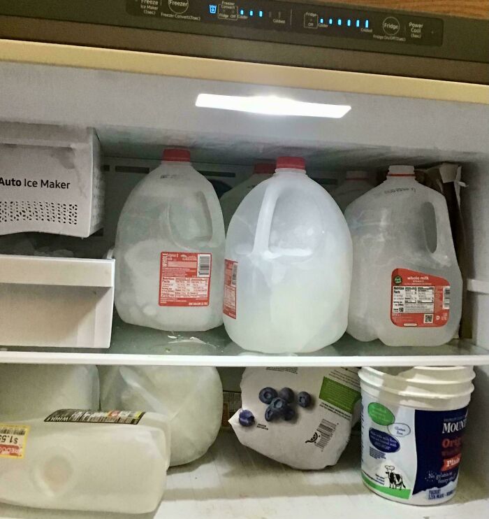 Milk containers frozen to save fridge space and preserve milk