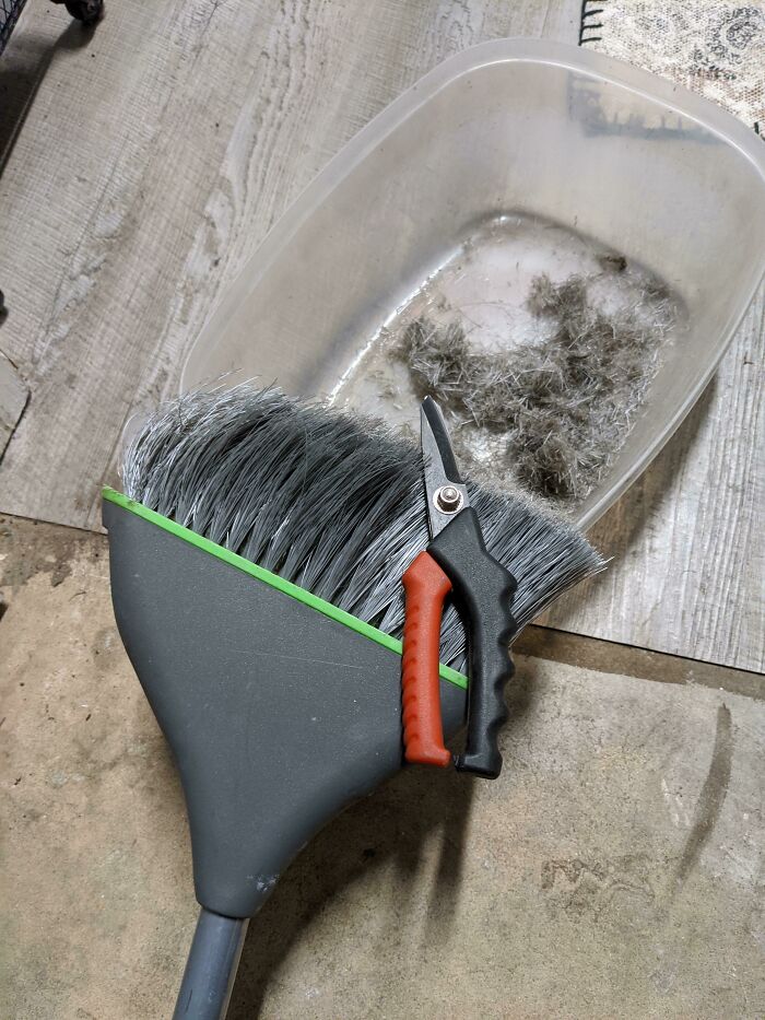 Innovative dustpan and scissors combo for easy cleaning and trimming