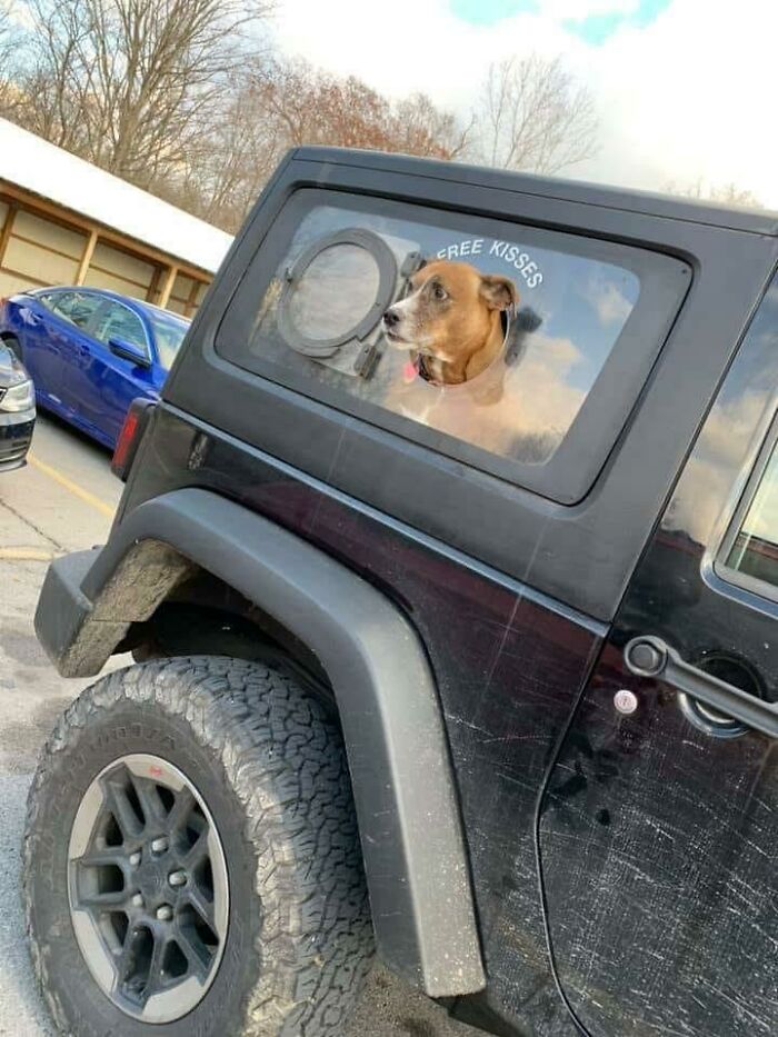 Goodest Window
