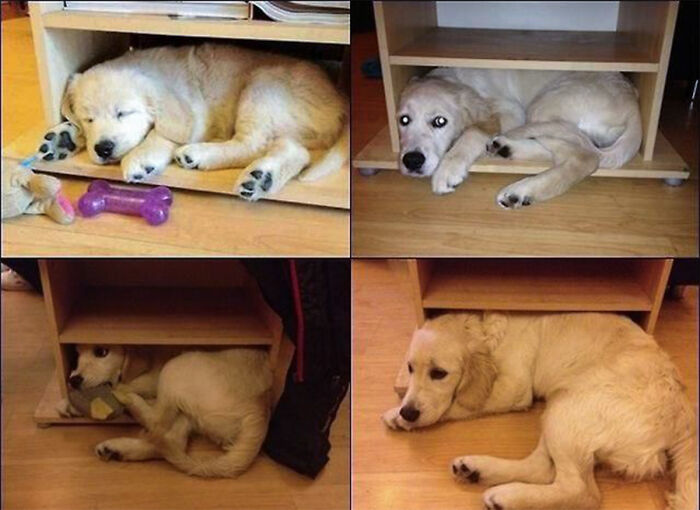Growing Up Is Hard