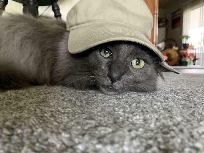 My Lil Bro Stole My Hat And I Think He Wears It Better😩😬😎