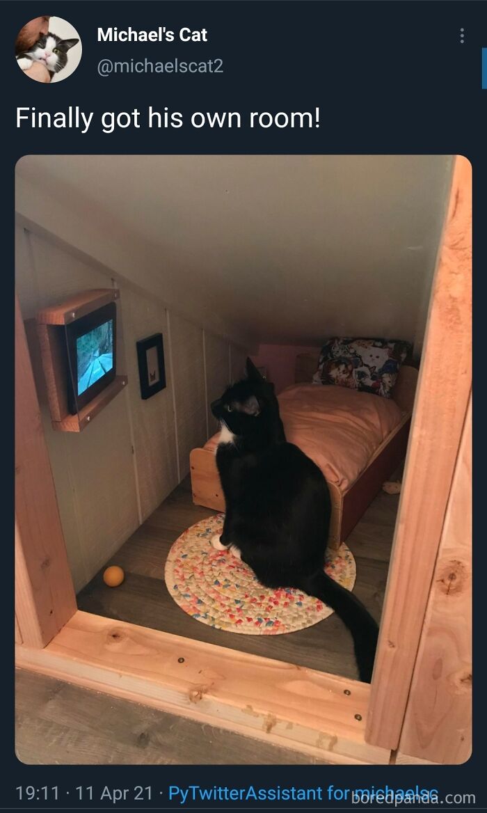 Watching 10 Pm Mews