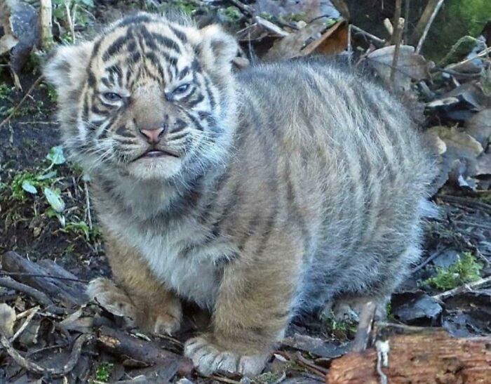 This Picture Made My Day