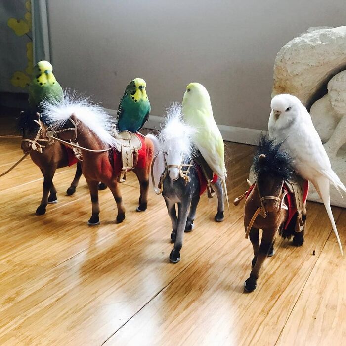 If Your Squad Is Going To 'The Party Of The Year' You Better Arrive In Style