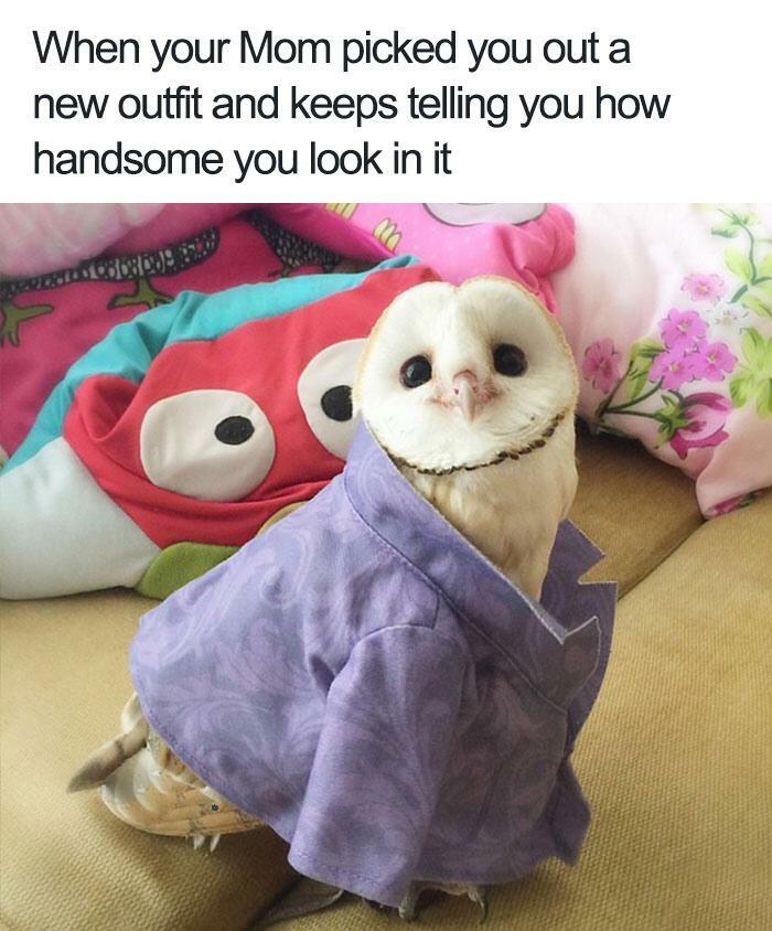 Maybe I Am Handsome