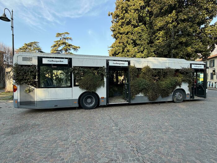 Bus covered with green plants showing smart creative improvement