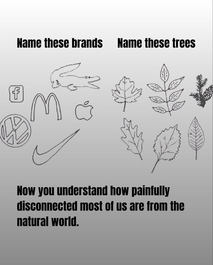 Name Them
