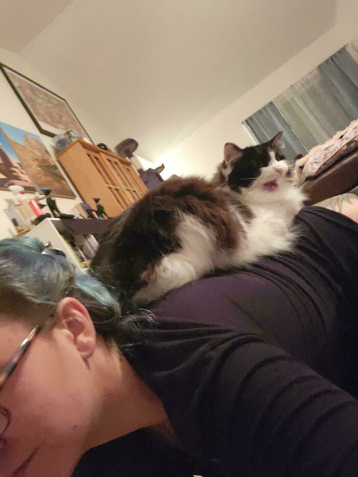 On My Back, Screaming (After I Came Back From Being Away For 3 Nights)