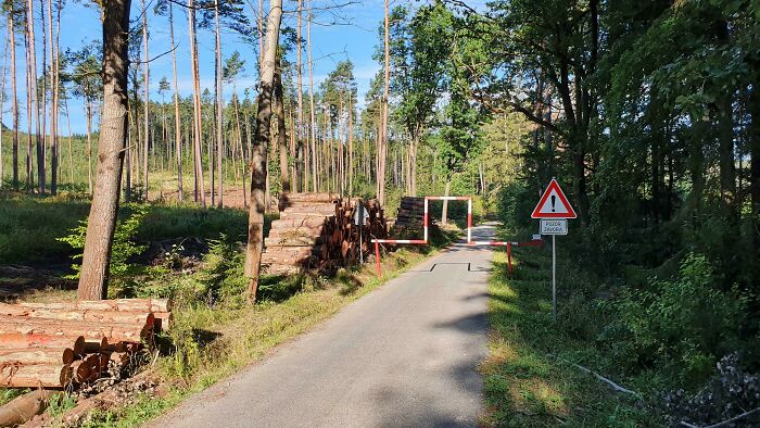 Logs stacked along a forest road with a creative road barrier system