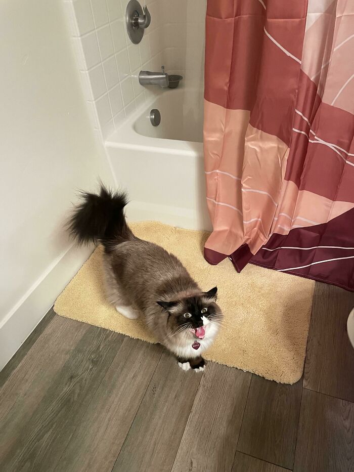 Mother Is Not Allowed To Shower! Mother Will Drown!
