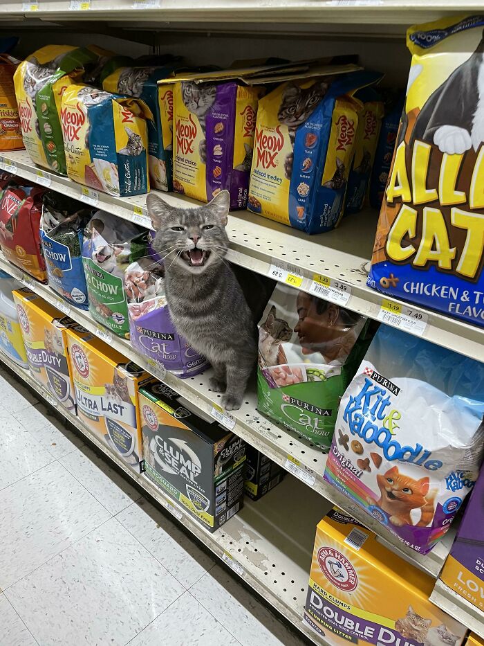 Some Girl Started Yelling At Me While I Was Grocery Shopping