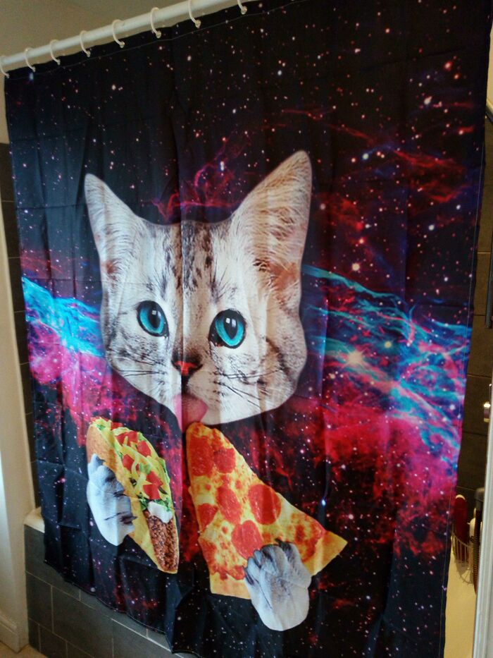 I Was In Charge Of Buying A New Shower Curtain Today And Purchased The Best One In The World. SO Disagrees