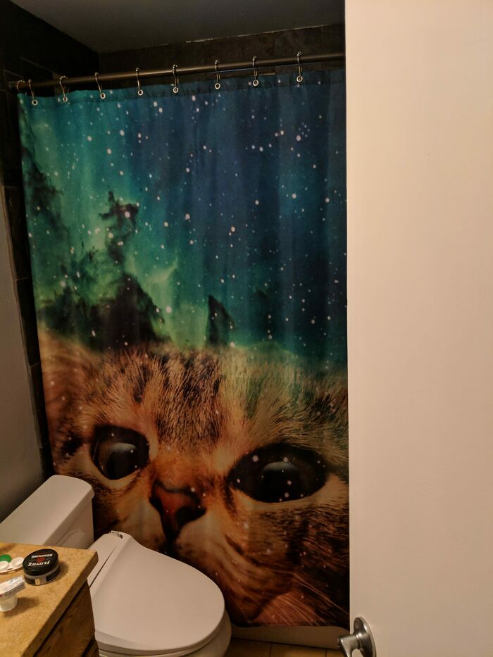 My Wife Barred Me From Drunken Ebay Purchases After I Bought A Shower Curtain