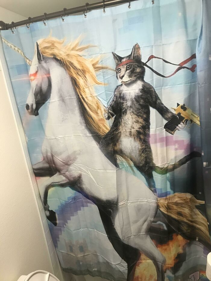 I Dont Have A Wife Or GF So Im In Charge Of The Shower Curtain...and Sadly Everything Else
