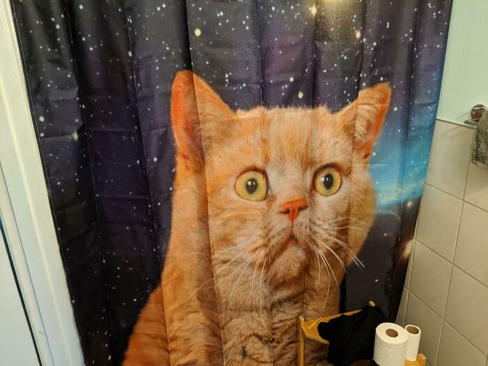 New Shower Curtain Who Dis?