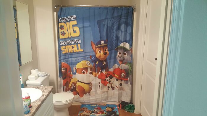 I Have A 3 Year Old... I Did Not Choose My Shower Curtain