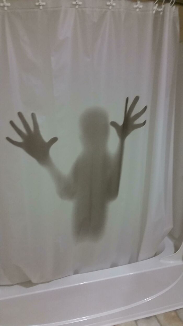 My Friend's New Shower Curtain Scared Me When I Went To The Bathroom