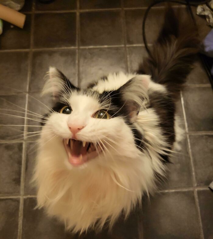 I Had The Audacity To Go To The Bathroom Before Feeding Her