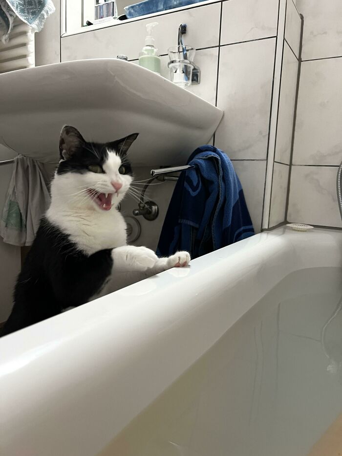 Here We Go Again... Every Time I'm About To Take A Relaxing Bath