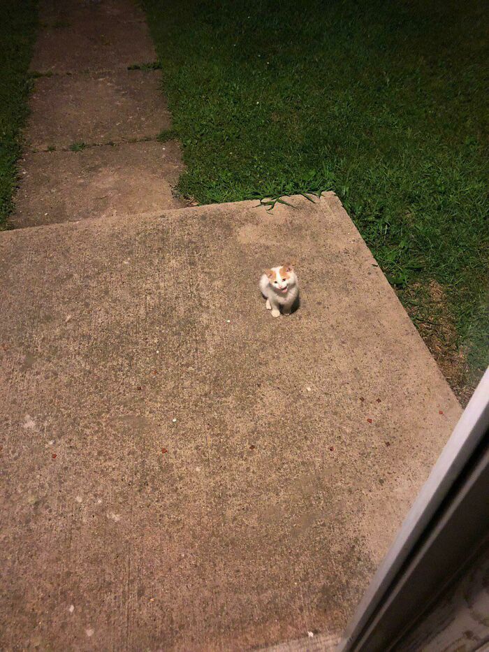 My GF Made A Friend At Her Grandpas House