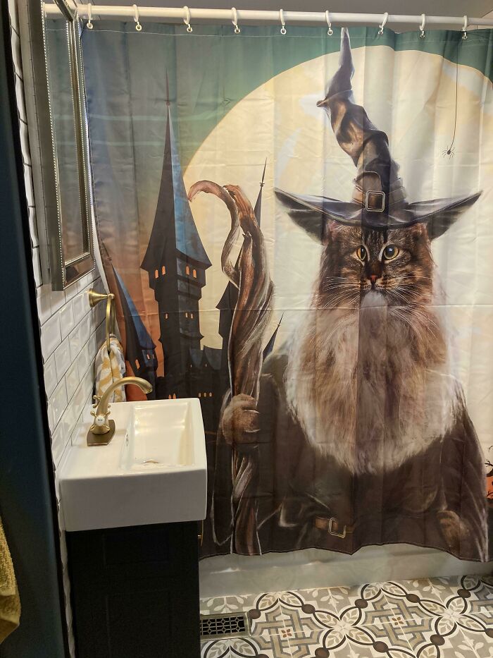 I Think My New Shower Curtain Will Be Appreciated Here