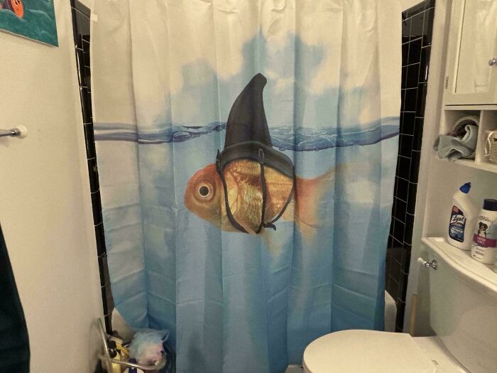 Just Got My New Shower Curtain Up, Thoughts?