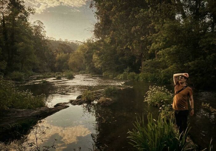 The Pond