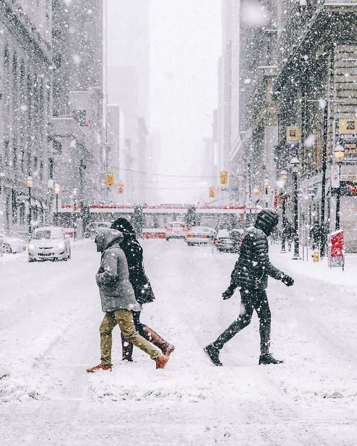 I Took A Picture Of A Winter Renaissance Moment In Toronto