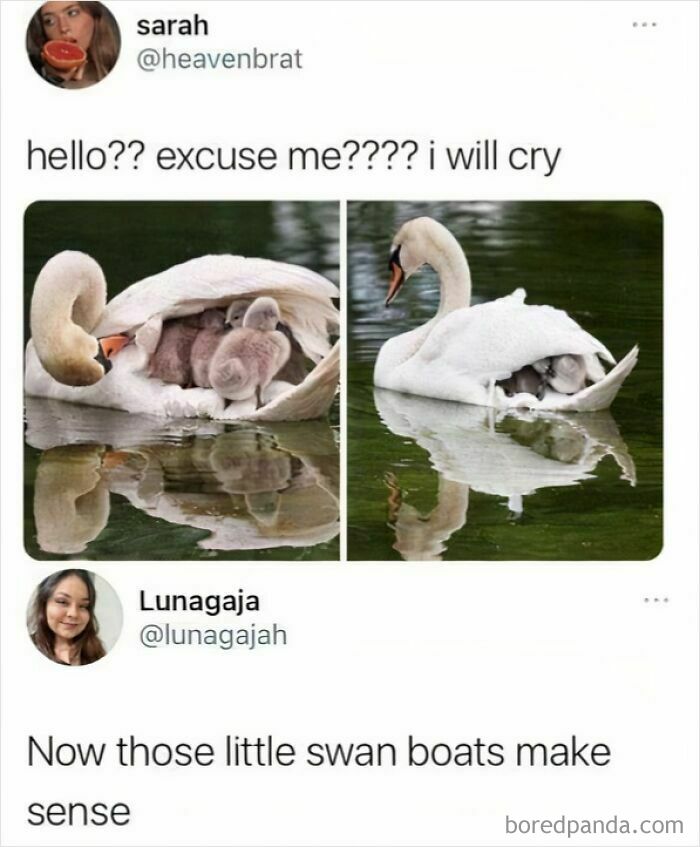 This Is Adorable