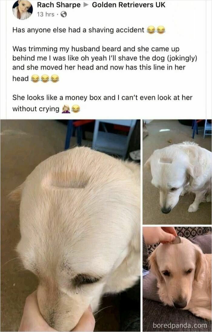 Heck This Is Wholesome