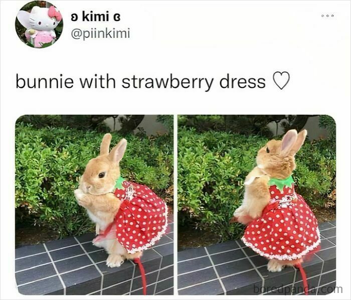 This Is Adorable And I Cant