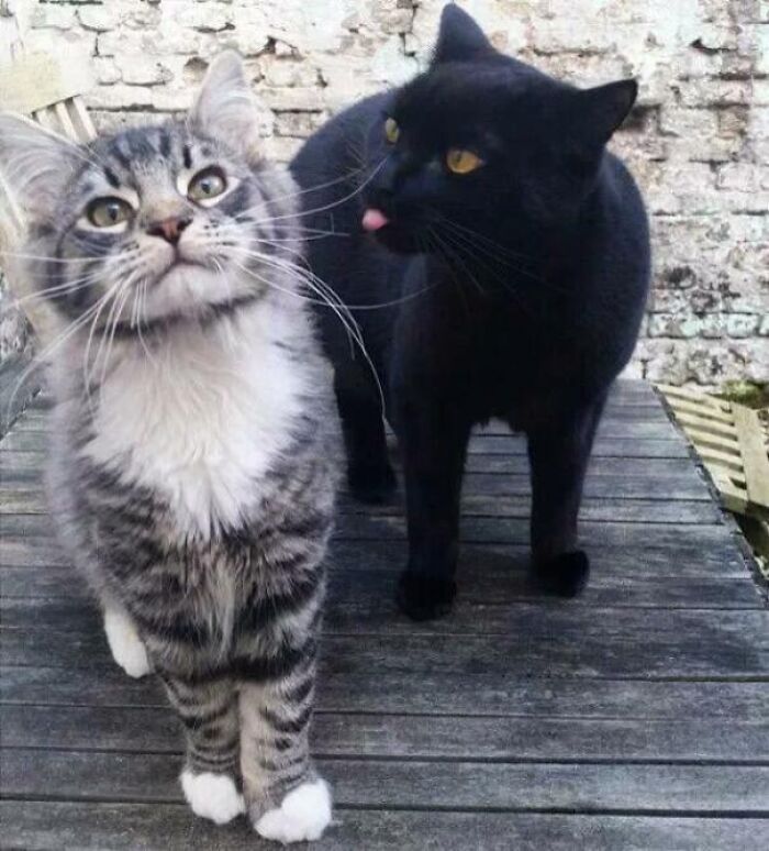 Is He Making That Face Again?