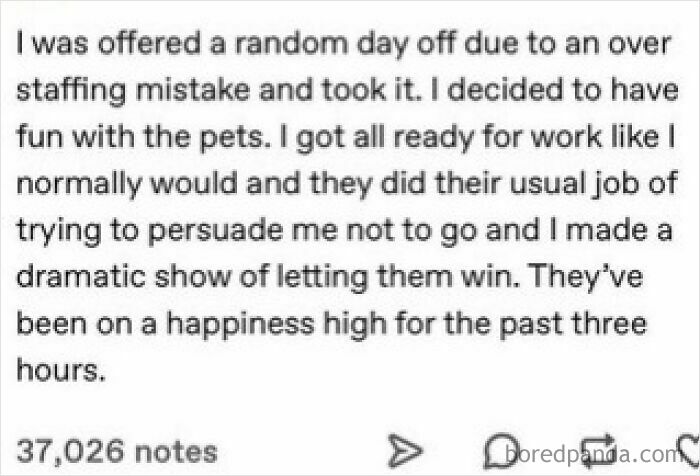 Text post about taking a day off to play with pets and their happiness