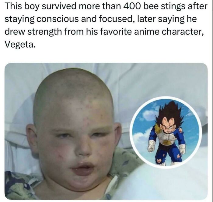 Uplifting posts: A boy with bee stings in a hospital bed, crediting anime character Vegeta for his survival.
