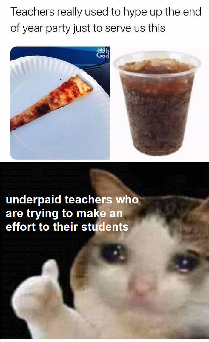 Meme shows teachers serving minimal snacks with cat appreciating teachers' efforts