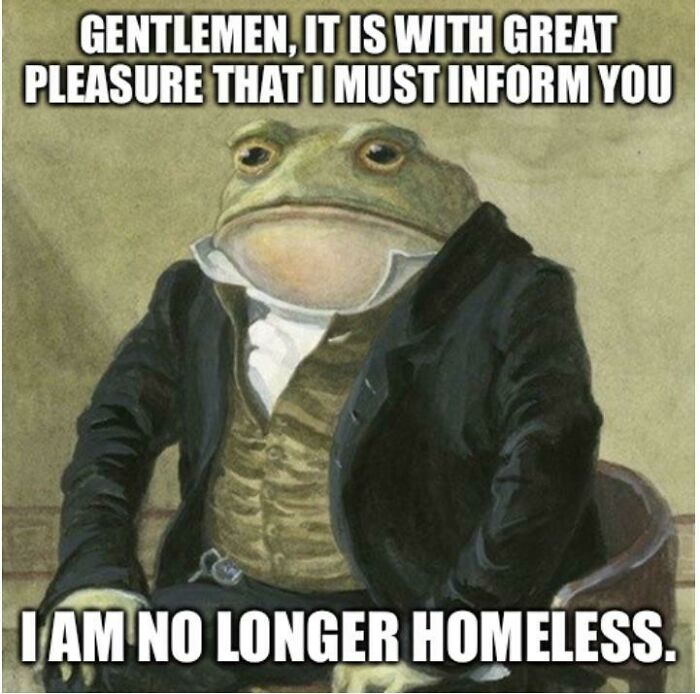 Dignified frog meme humorously announces no longer homeless positivity