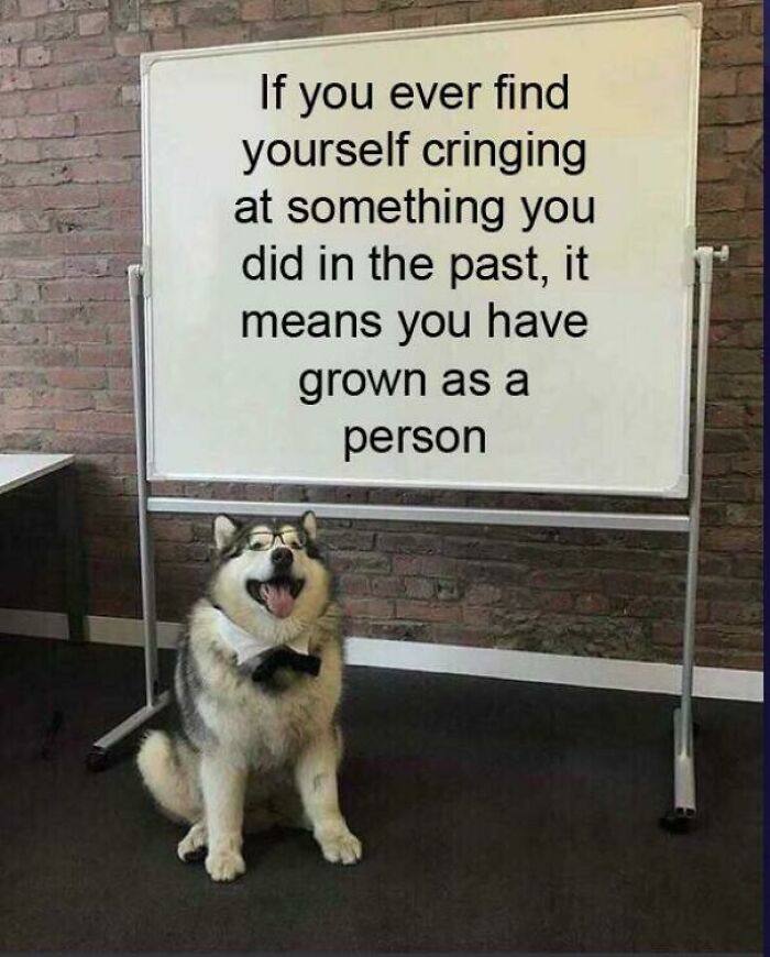 Inspirational meme with a dog in glasses next to a board about personal growth from past cringe