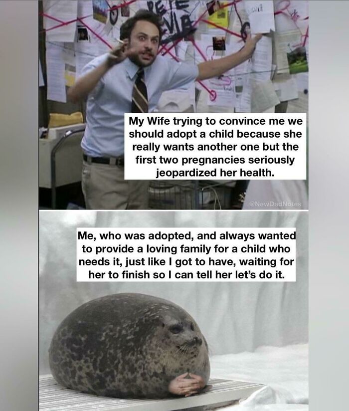 Meme about adoption with husband hesitant and seal waiting to say yes