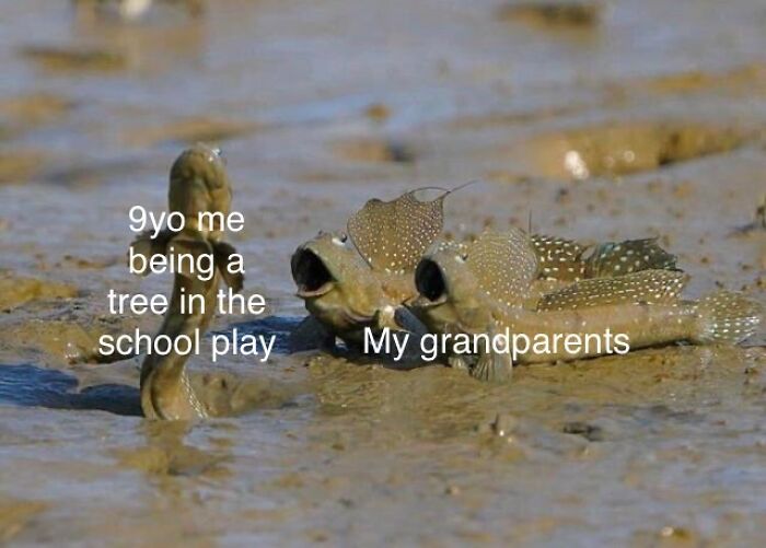 Funny meme showing grandparents loving a child's school play role