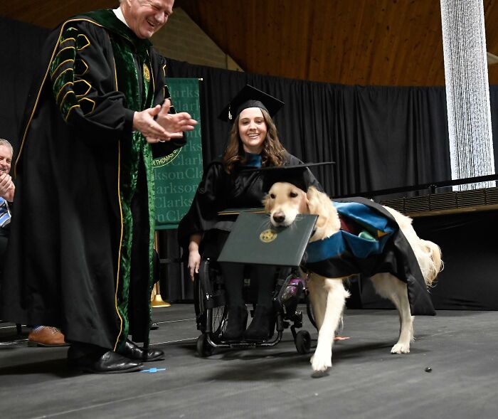 Graduation ceremony with therapy dog and female graduate in cap and gown