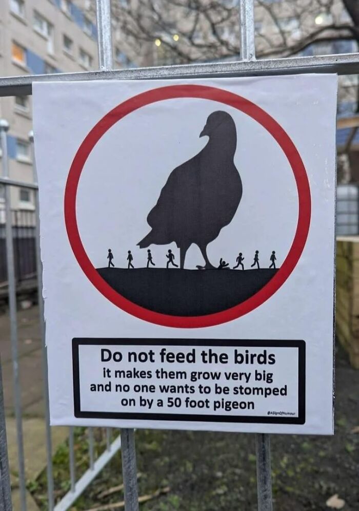 Comical sign warning not to feed birds to avoid giant pigeons