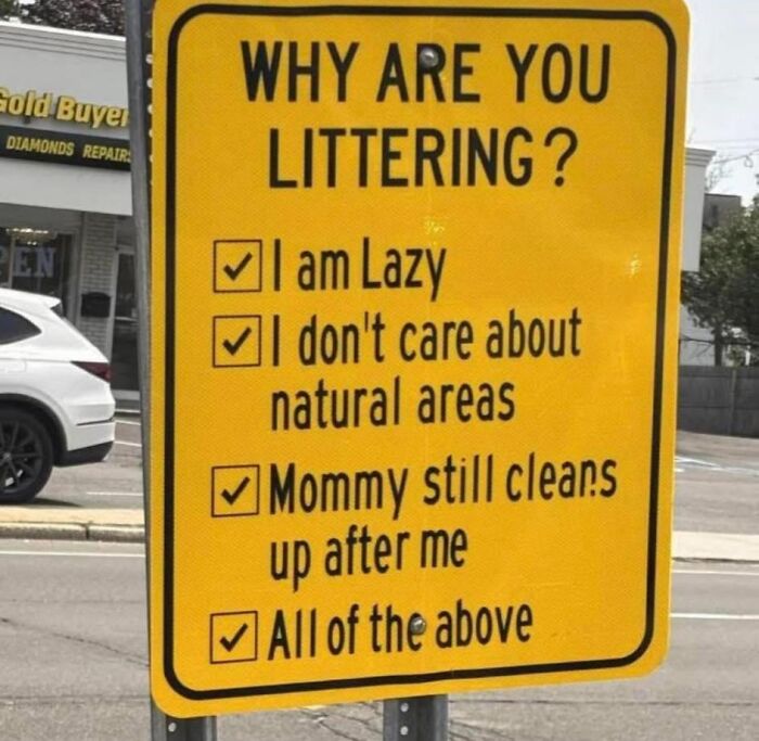 Yellow sign humorously listing reasons for littering with all options checked