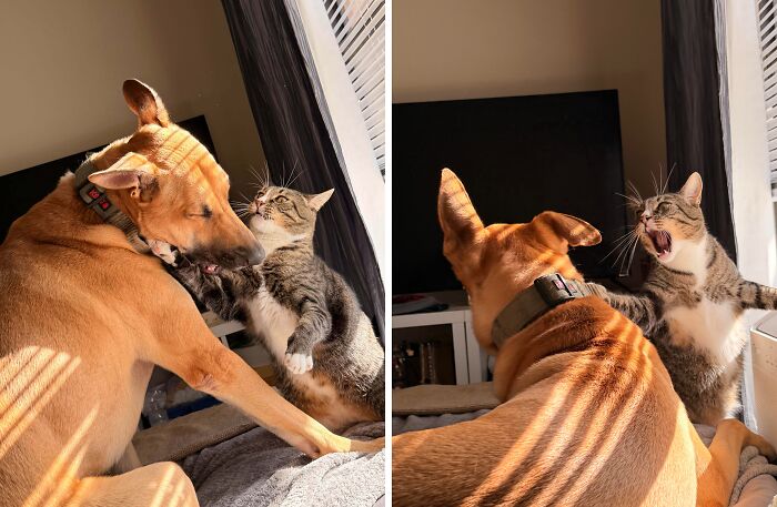 A Sequence Of Events My Girlfriend Captured
