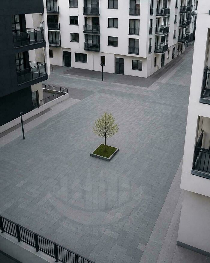 Minimalist urban hell scene with empty courtyard and single tree among apartment blocks